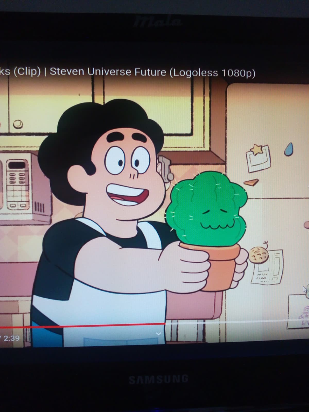 Il nuovo Steven è uguale a me, sono soddisfatto?