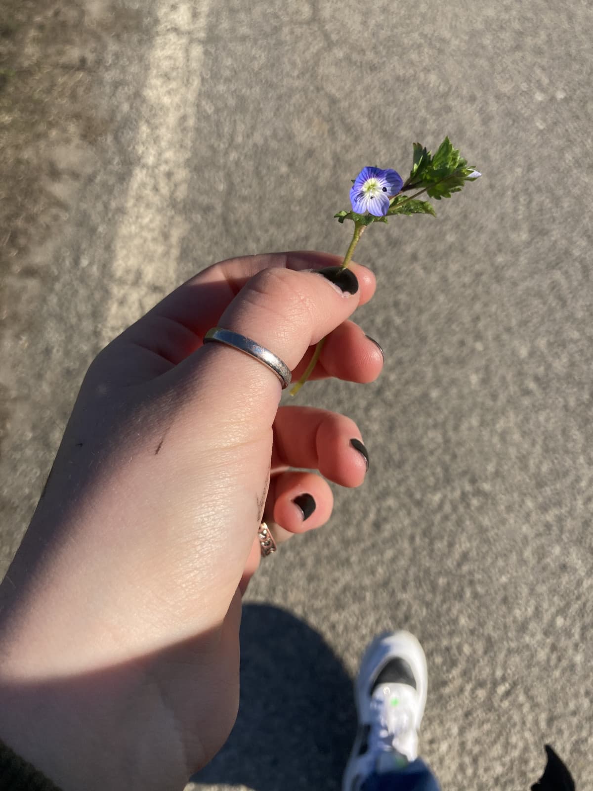 penso di piacere ad un mio compagno di classe (sotto)