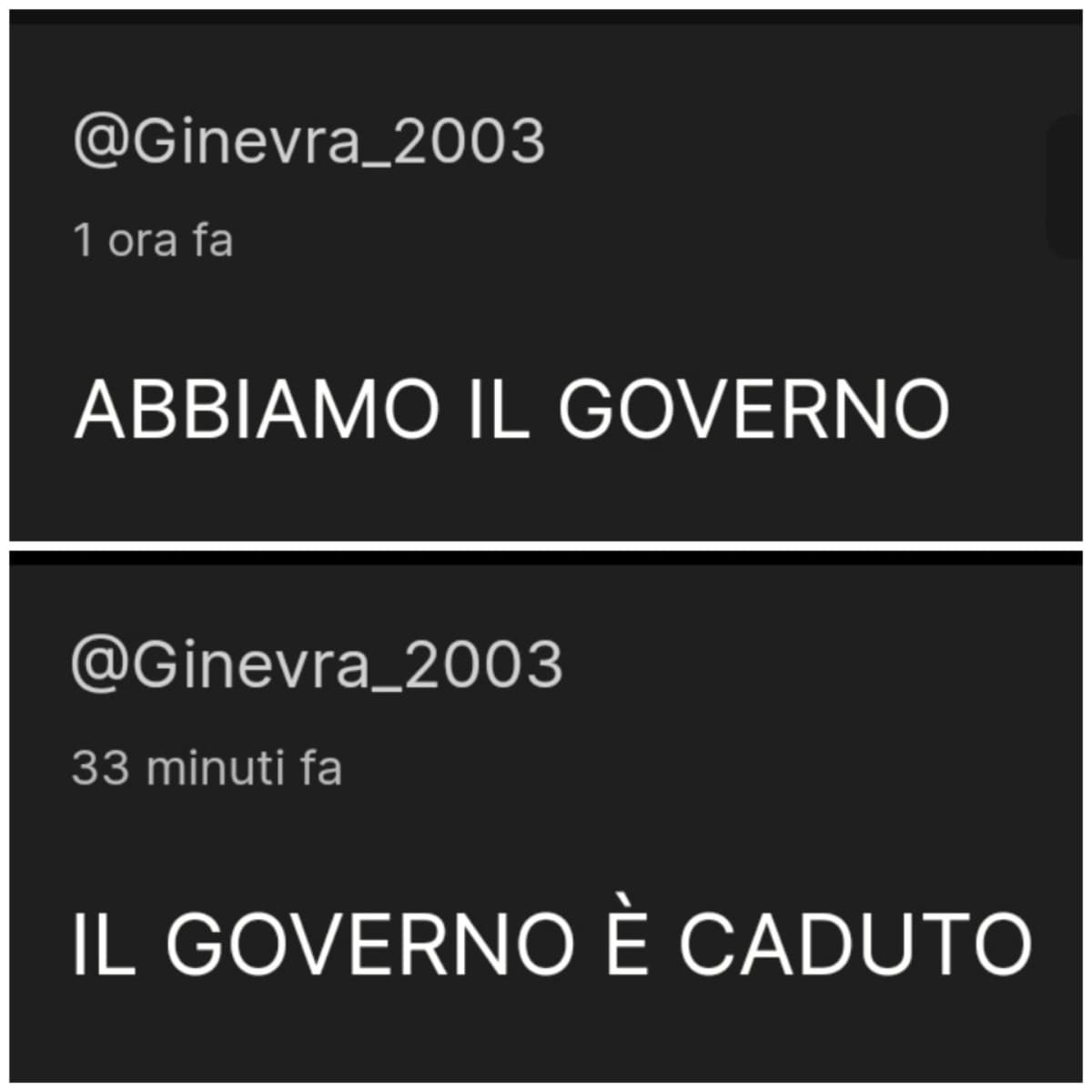 IL GOVERNO PIÙ BREVE DELLA STORIA DI INSEGRETO - INSEDIAMENTO E CADUTA DEL GOVERNO TUTTICONTROCIRUZZ