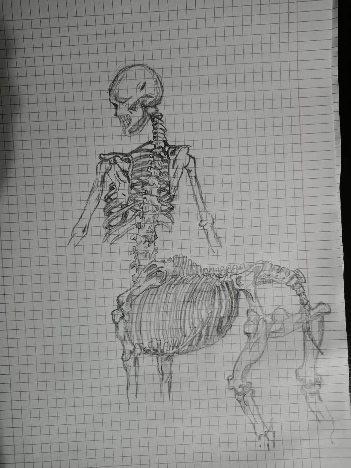 va lo metto anche qui perché mi piace com'è venuto