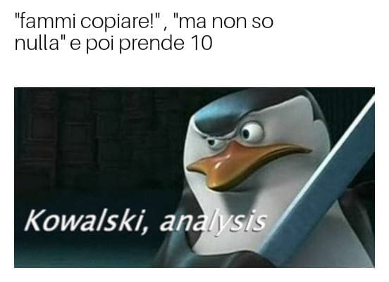 Durante la verifica