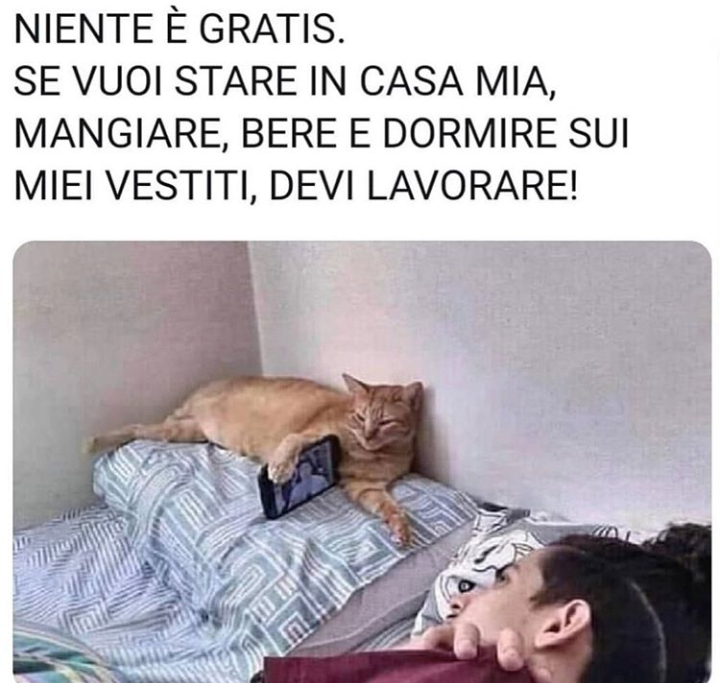 Io non ho parole 