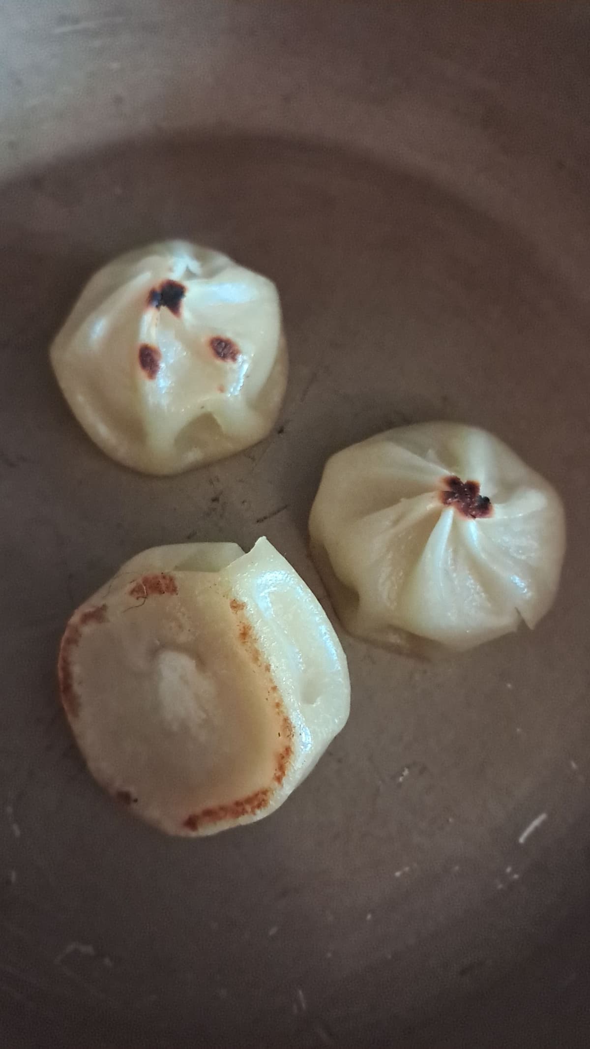 Salve ragazzi vi esco i miei tortellini 
