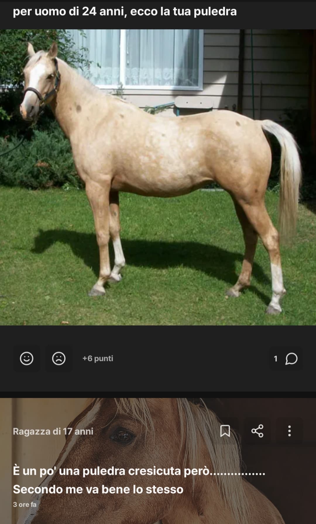 AHAHAHAHAHA