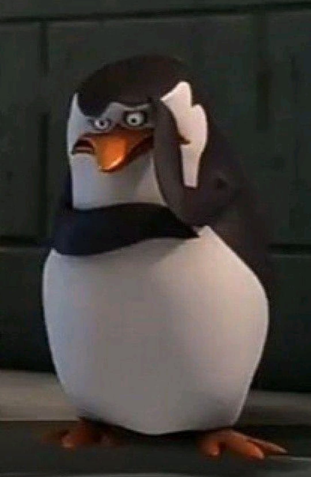 ma dove siamo finiti
