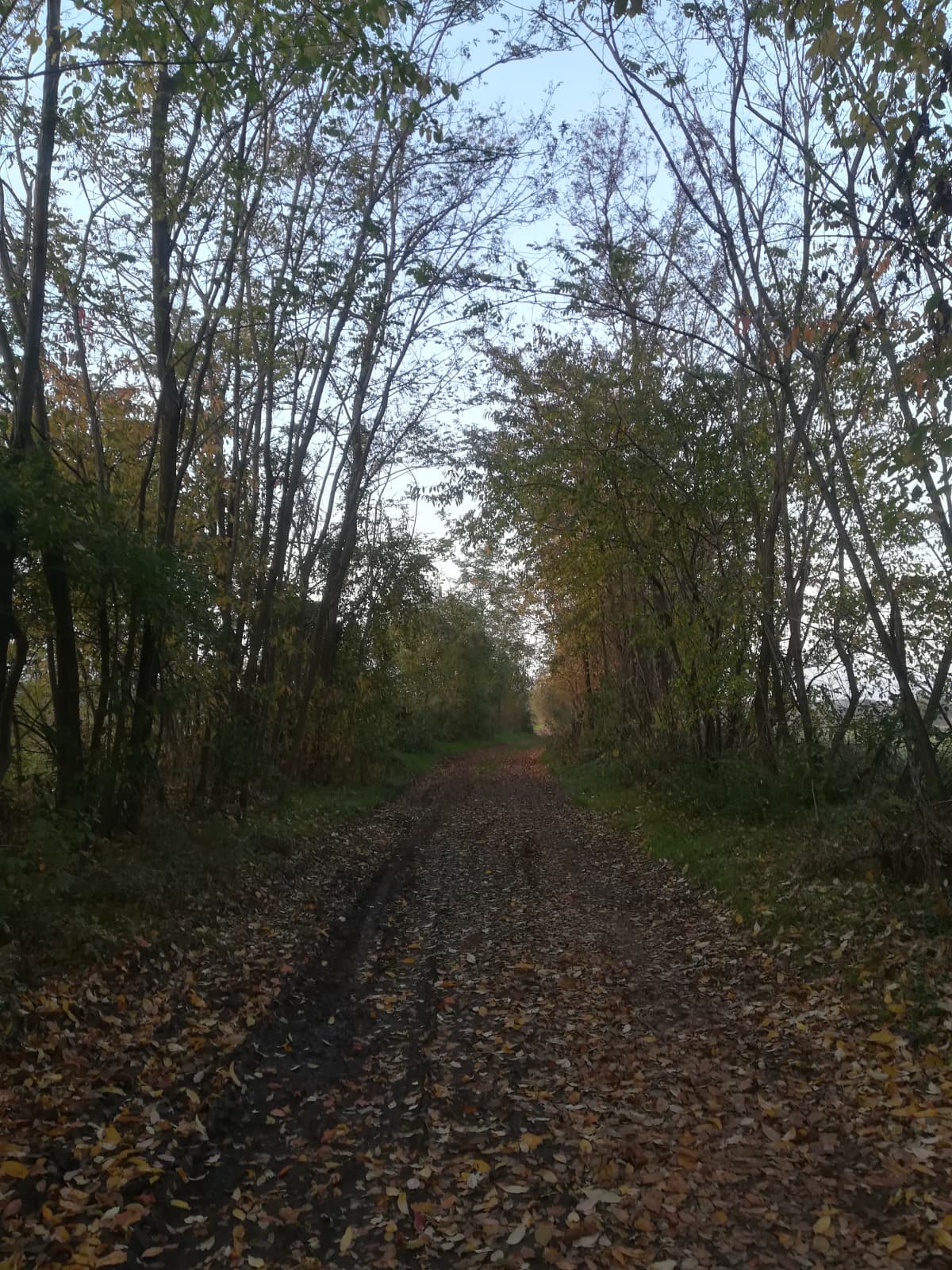 Vi piace? Oggi ho fatto una passeggiata qui