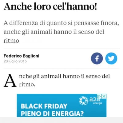 Trovate qualcosa di strano? Per me sembra tutto apposto 