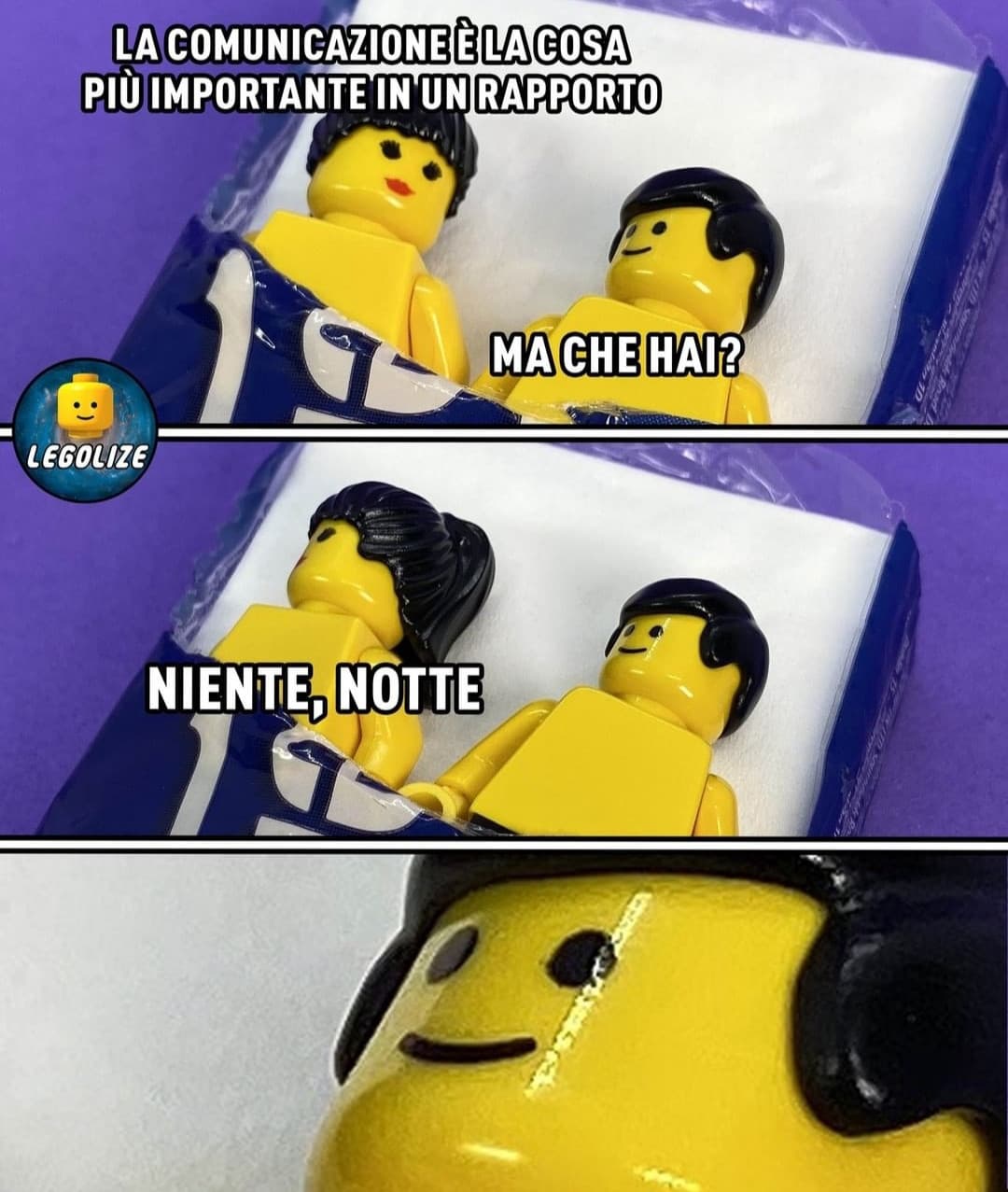 Mi sembra la pura verità. Crediti a legolize.