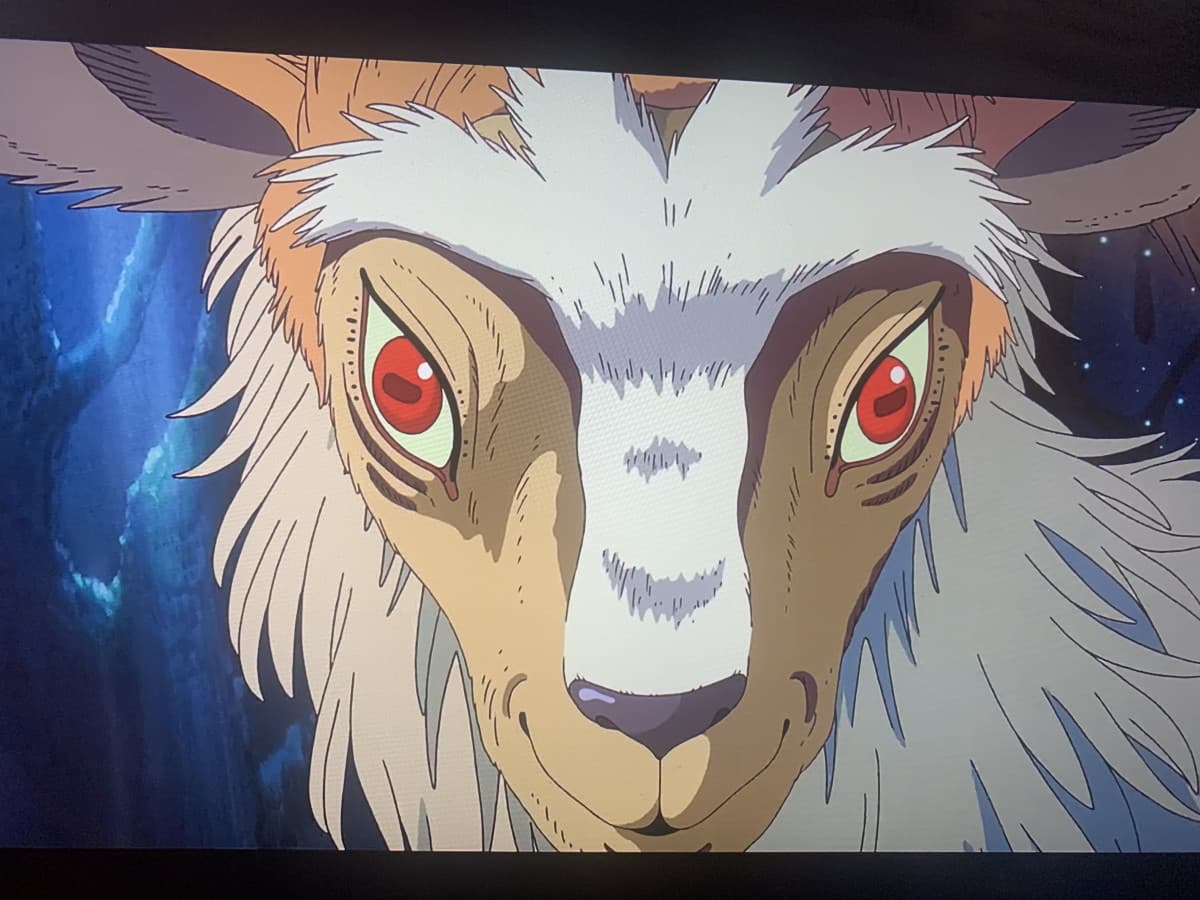 Principessa mononoke