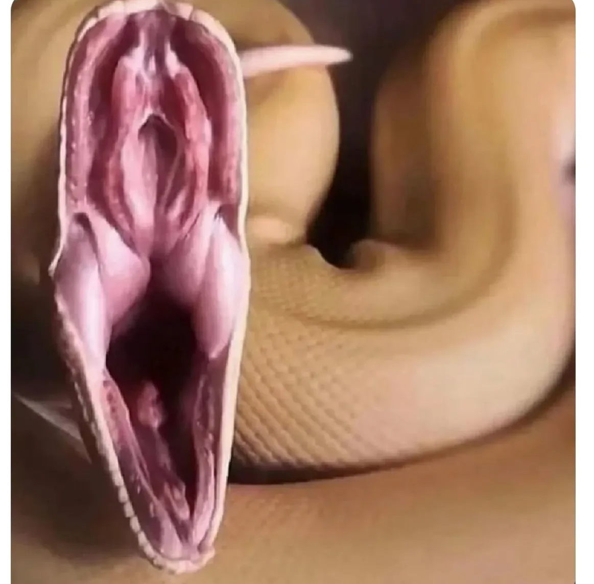 Buonasera ragazzi 