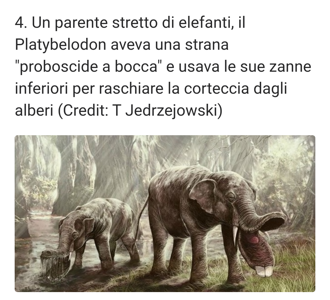 Non guarderò più dumbo allo stesso modo. 