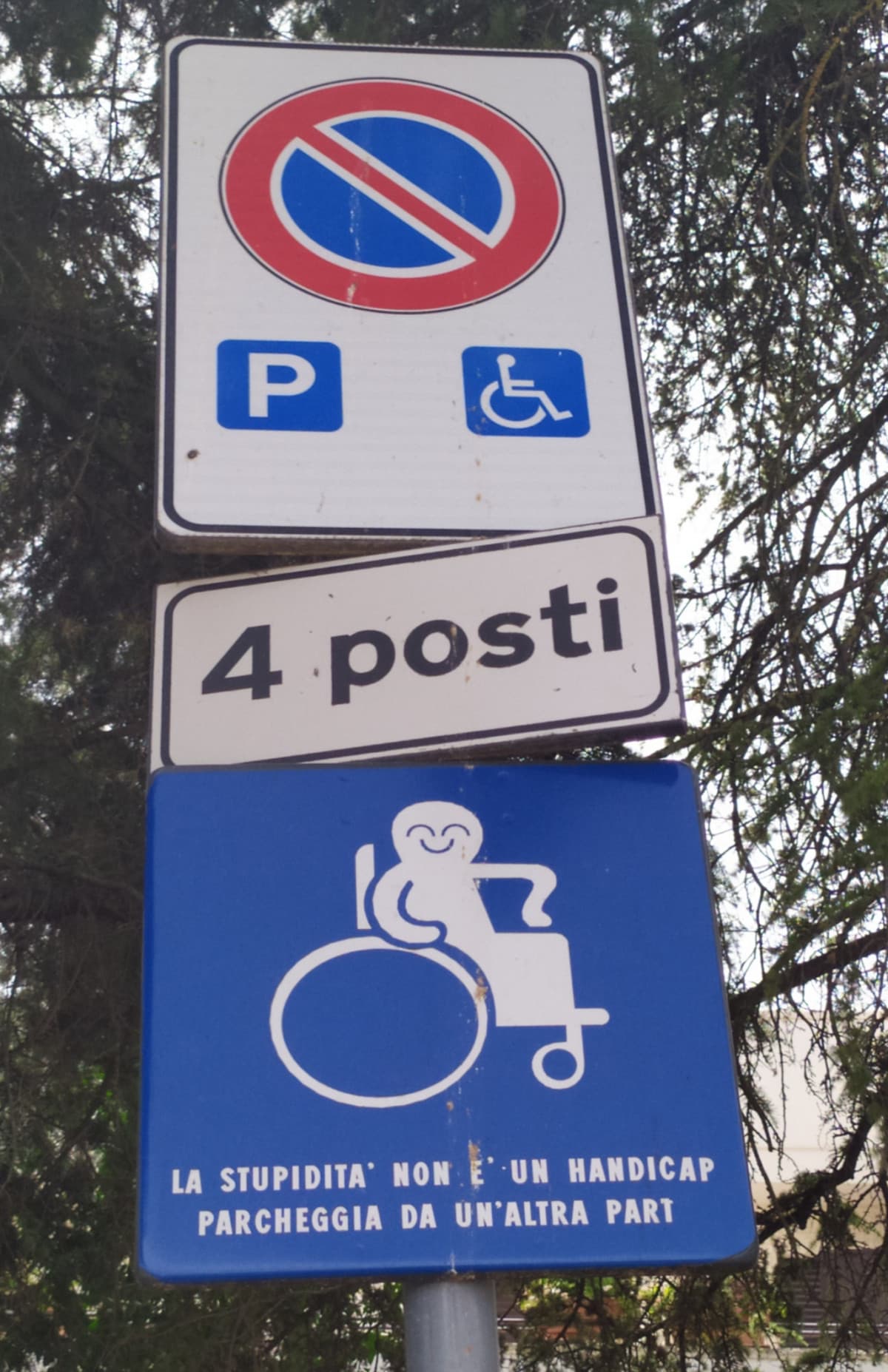 la stupidità non è un handicap