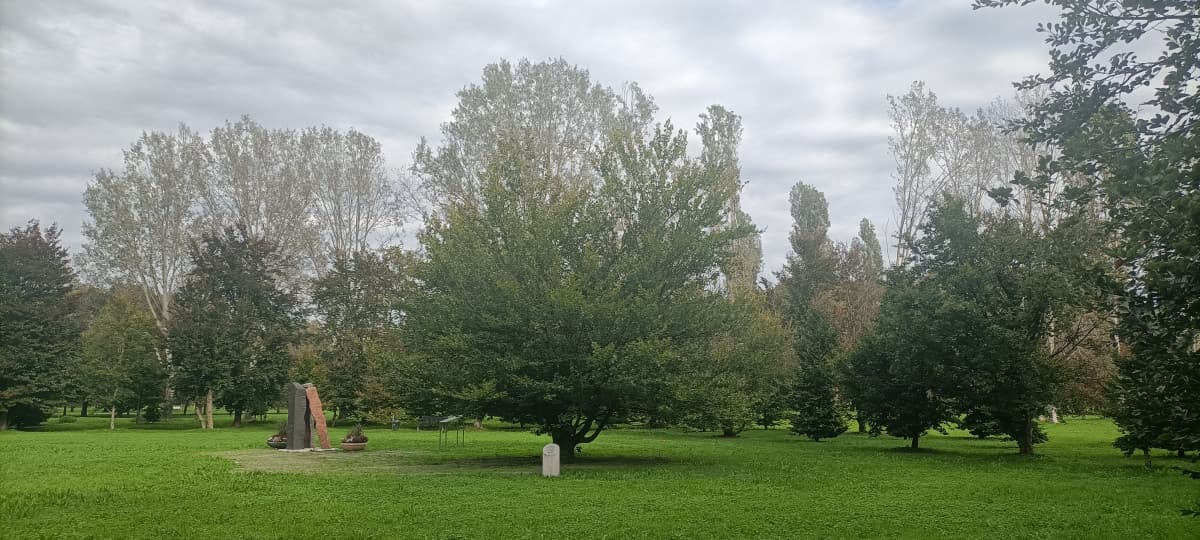 Il Bosco dei Faggi: 118 alberi per non dimenticare l'8 ottobre 2001