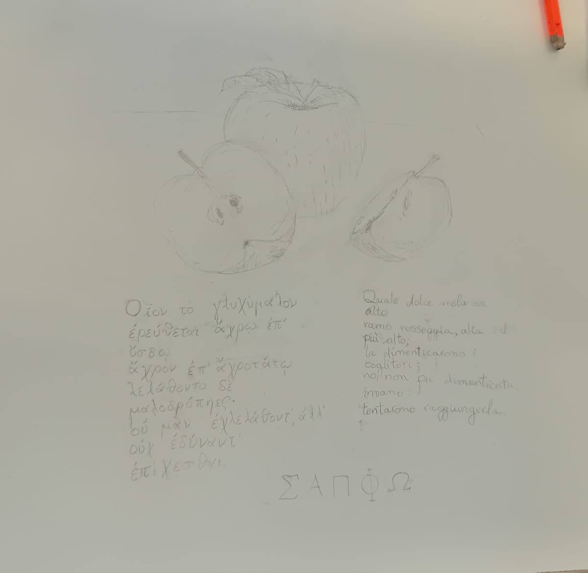 Il disegno sul banco di oggi. La citazione di Saffo è un tocco di classe.