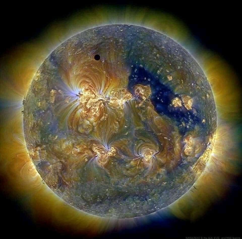 Il Sole (e il puntino nero è Venere ?)