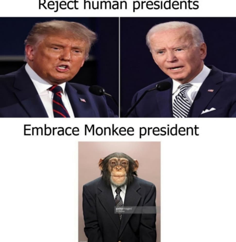 Monkee president