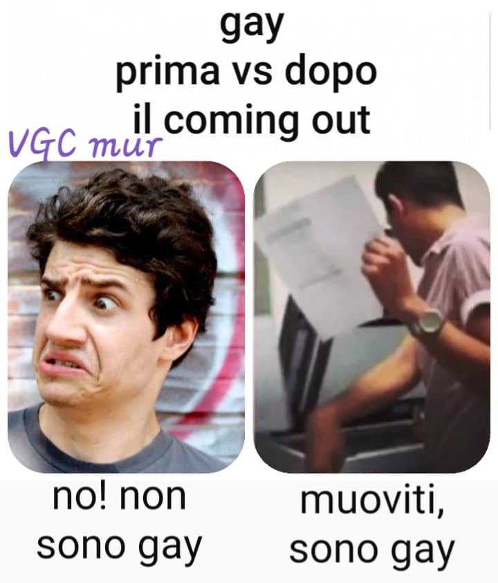 IRONIA *anche se nella maggior parte dei casi sto meme non è lontanissimo dalla realtà*