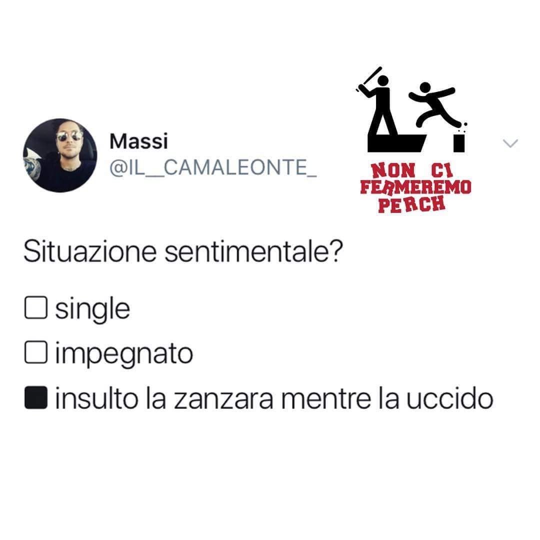 Zanzara infame per te solo le lame