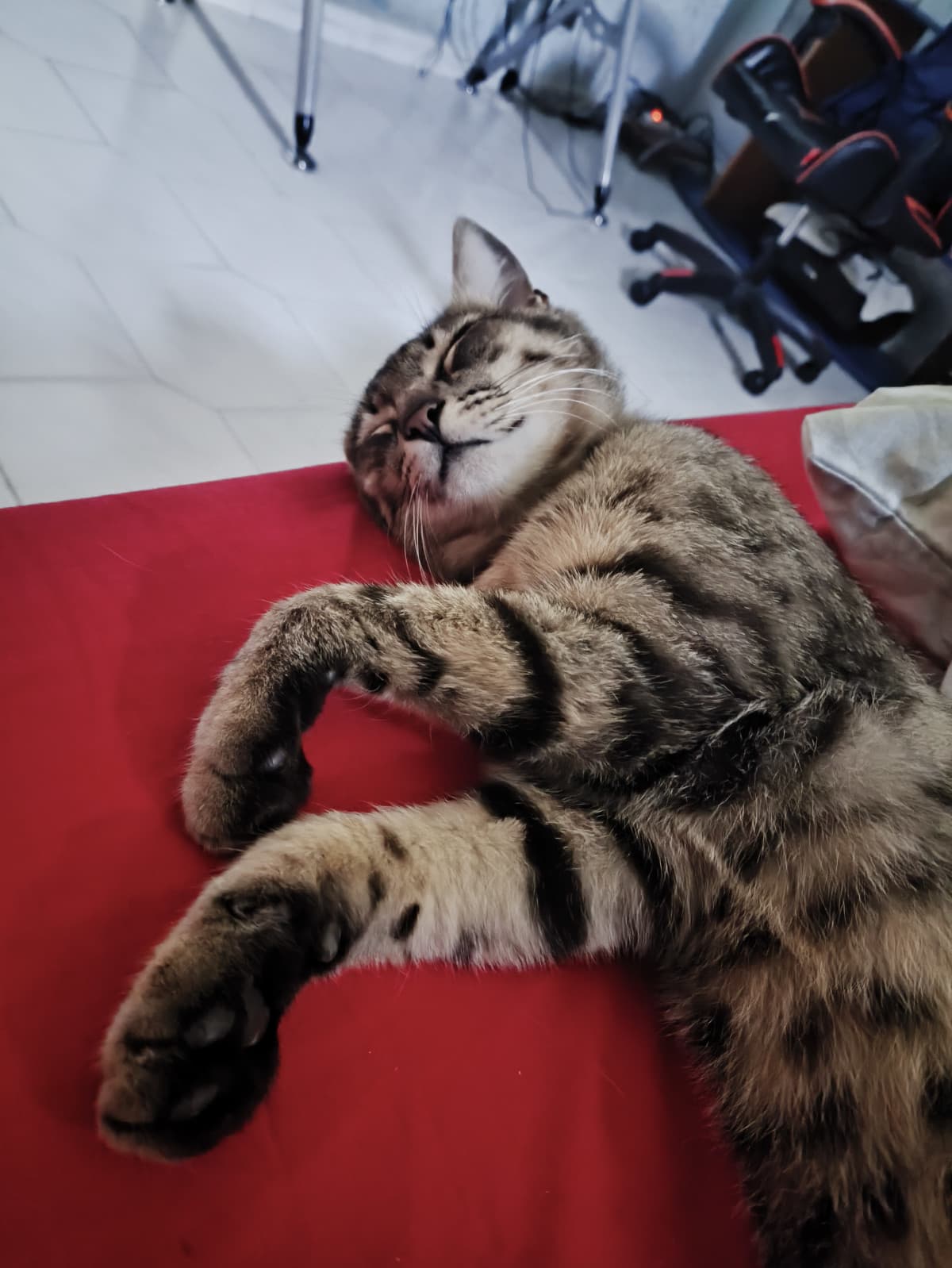 QUANTO CAZZO È BELLO MADONNA 