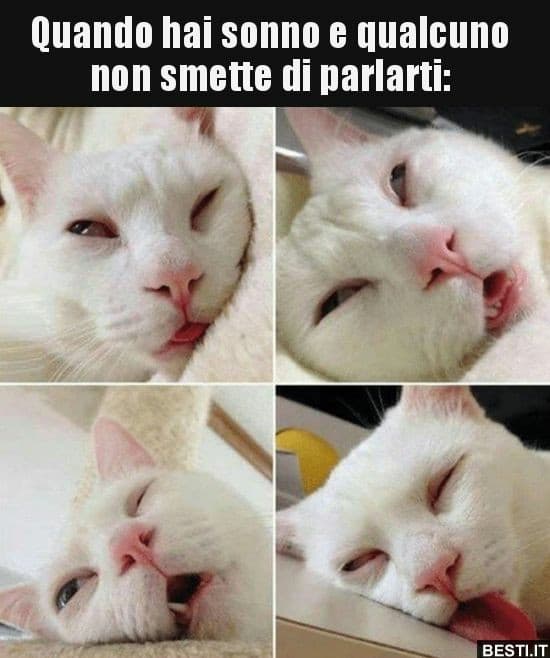 HO SONNO LASCIATEMI STARE PORCA BUTTANA