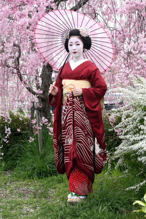 Maiko&Geisha 