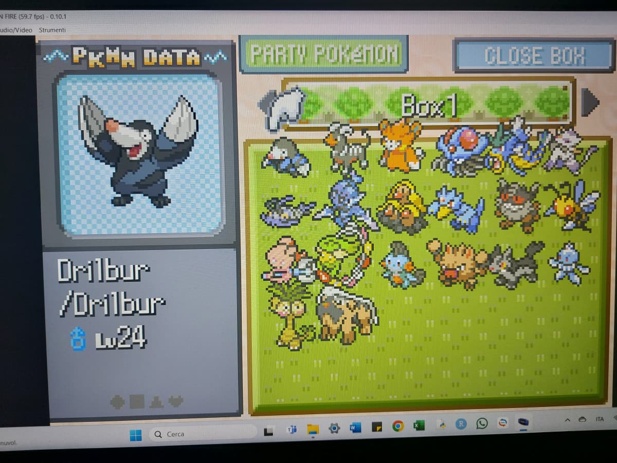 Come la affronto Misty in Hardlock Nuzlocke e 0 deaths con un team del genere?