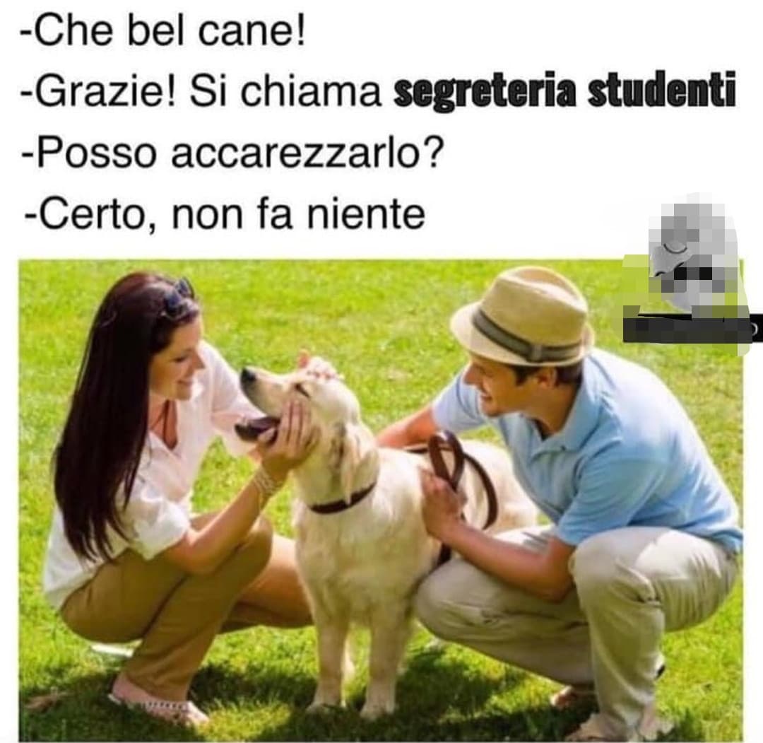 segretaria studenti 