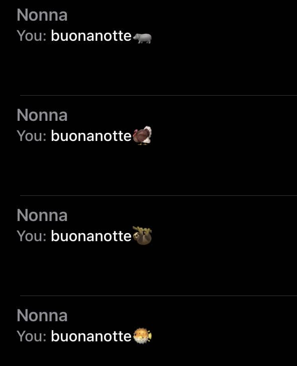 uno dei miei hobby delle ultime settimane è dare la buonanotte a mia nonna con sempre un animale diverso finché non se ne accorge 