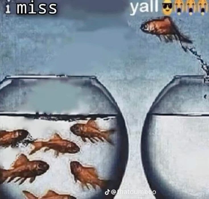 mi sento così quqndo torno a postare su insegreto🙏🙏🙏