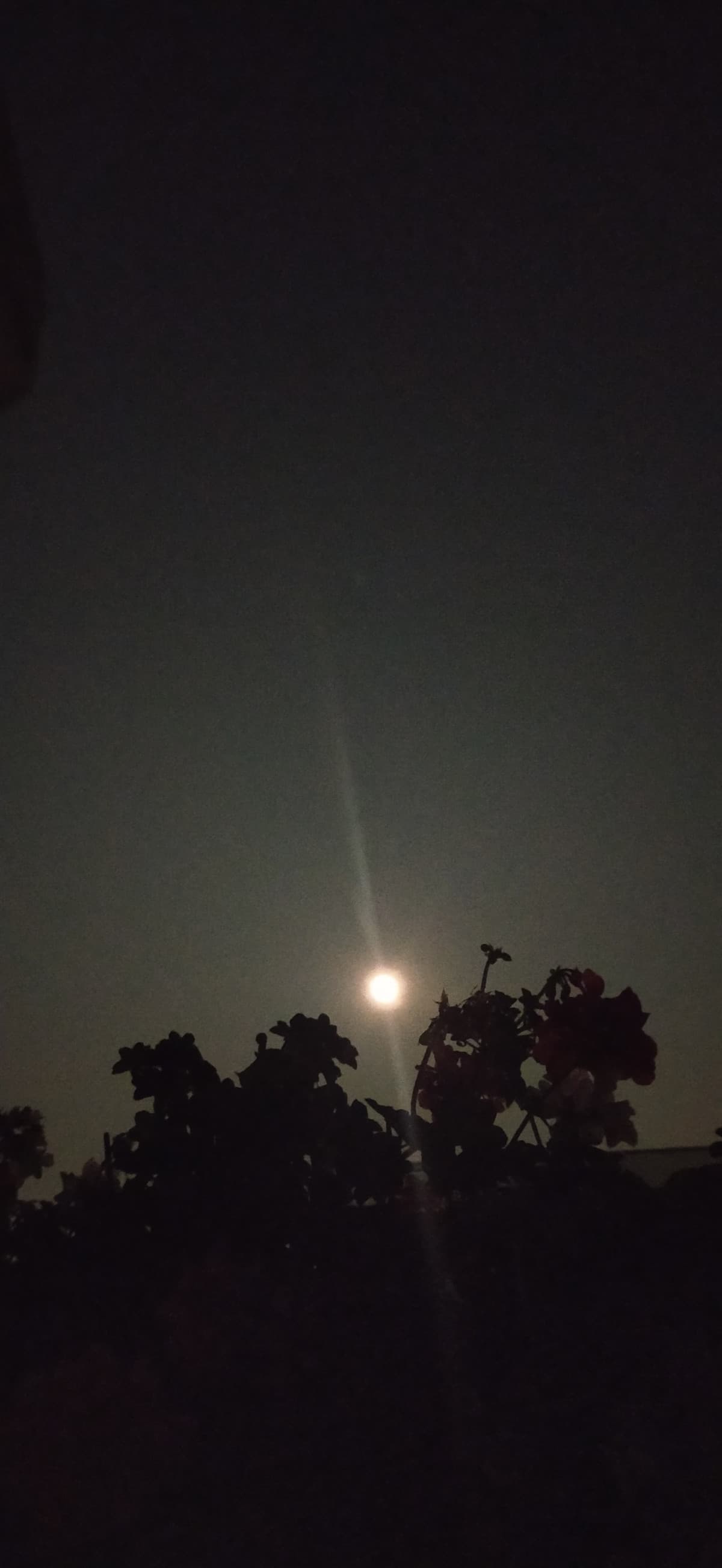 Respiri piano per non far rumore, ti addormenti di sera e ti risvegli col sole...