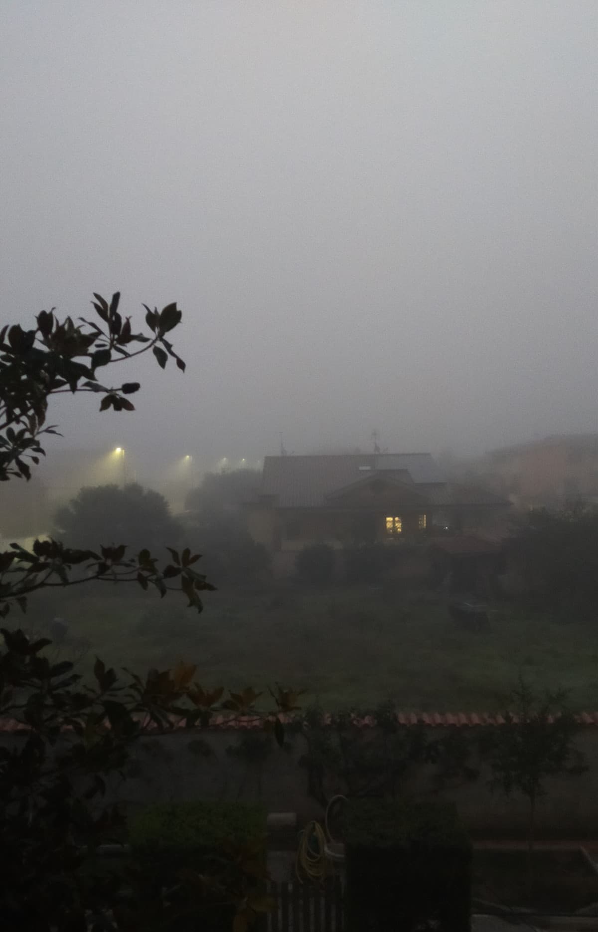 ma quanto è bella la nebbia 