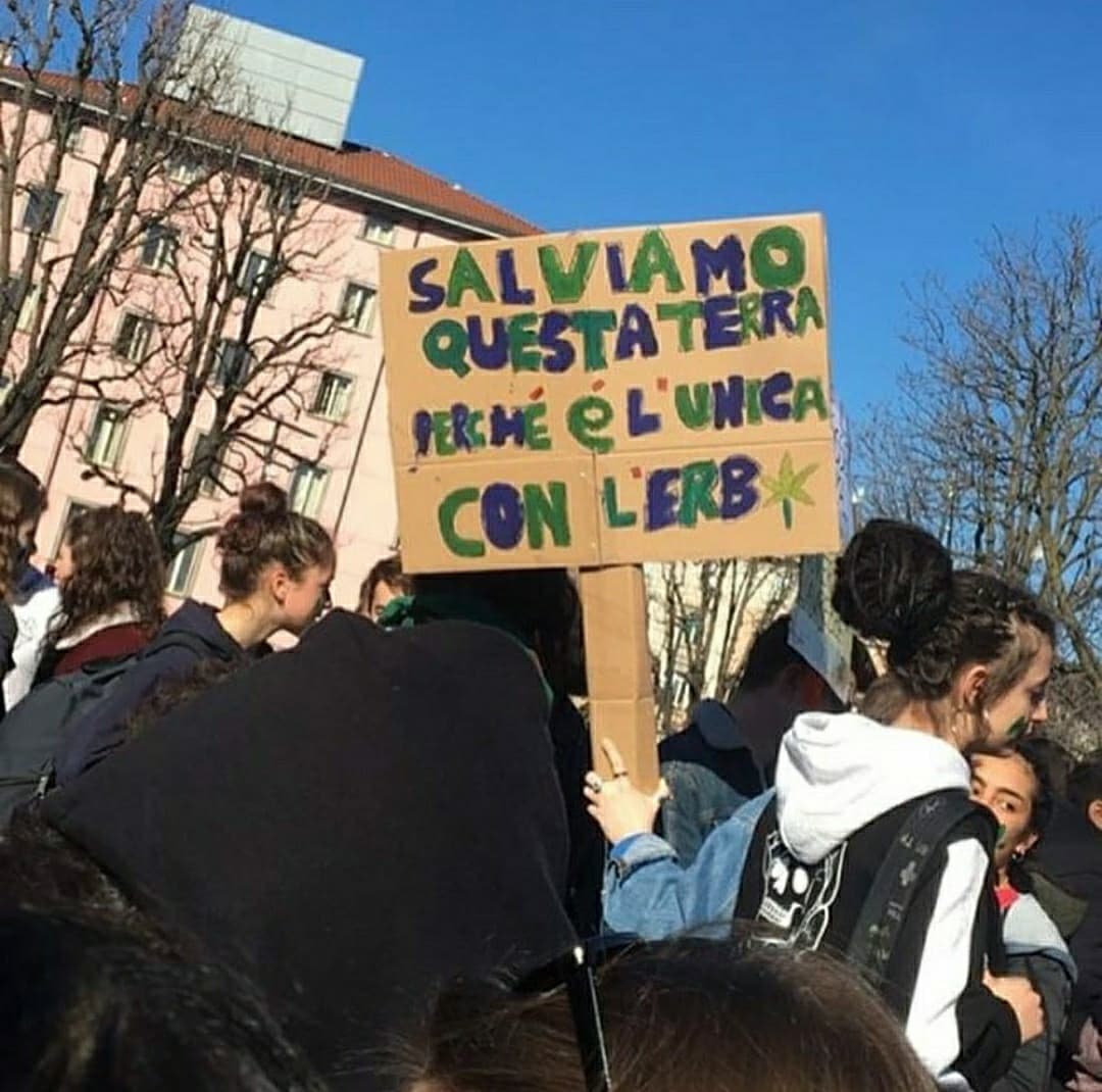 Eccovi un po' di ignoranza