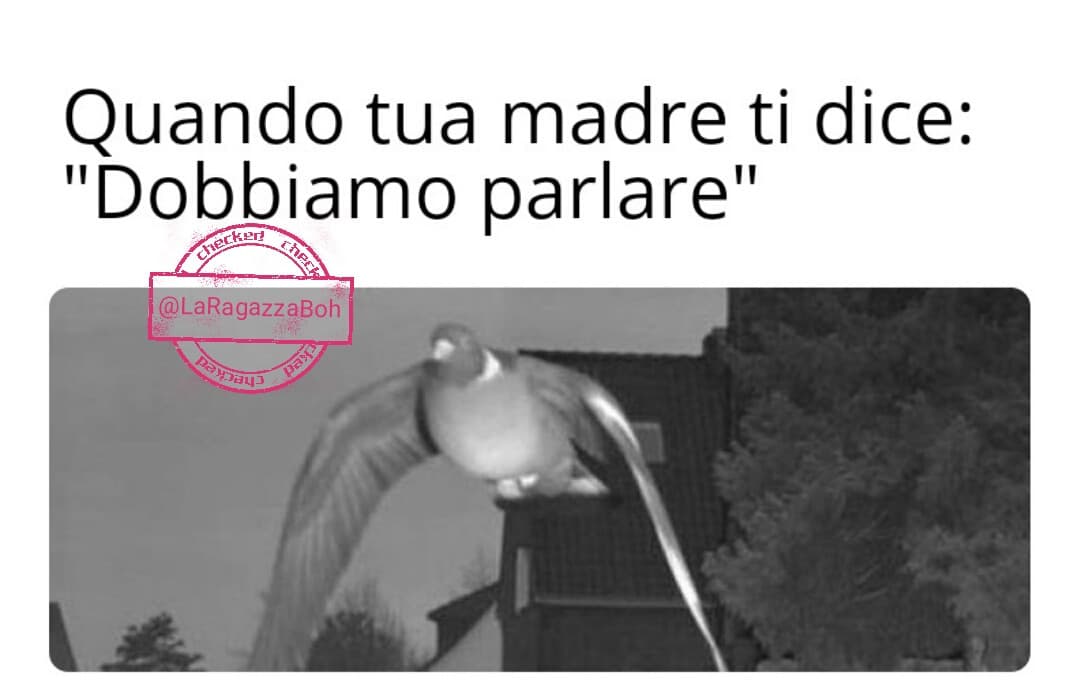 Meme mio