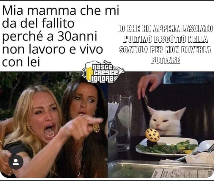 Meme modificato alla bell'è meglio da me