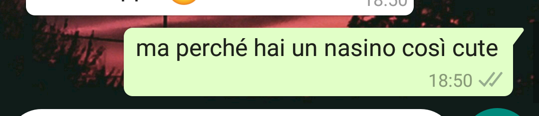 altre ragazze al fidanzato: "sei bellissimo, sei figo"
io al mio: