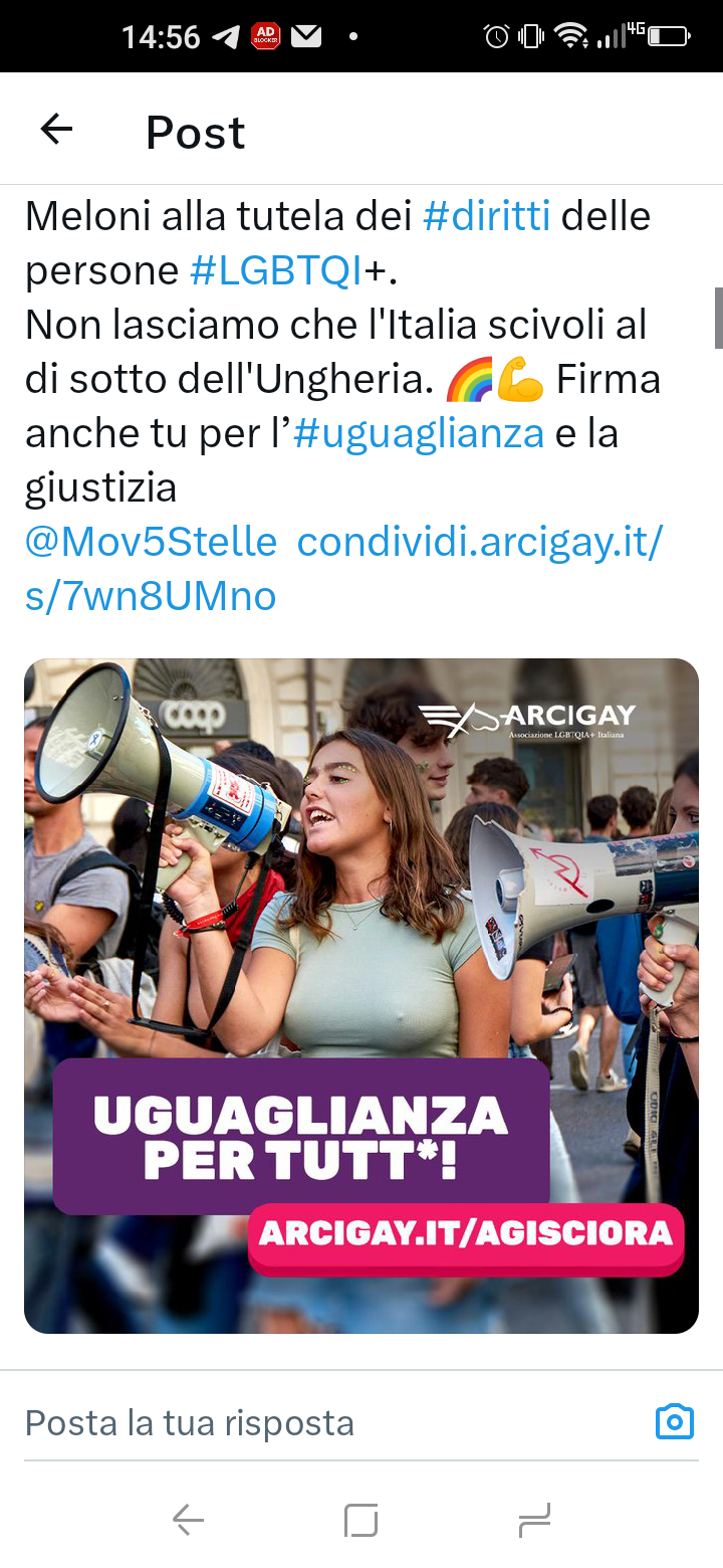 Con quelle tette fai la propaganda che vuoi