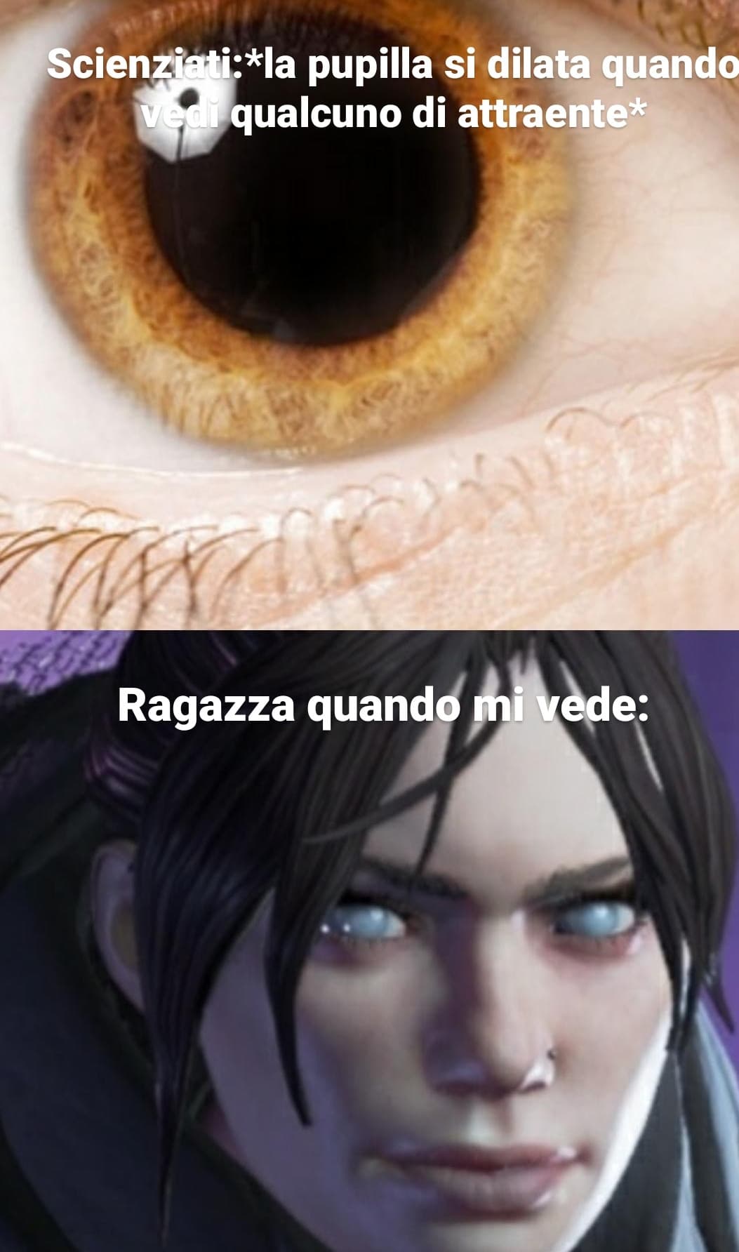 Finalmente ho creato questo meme reale ?