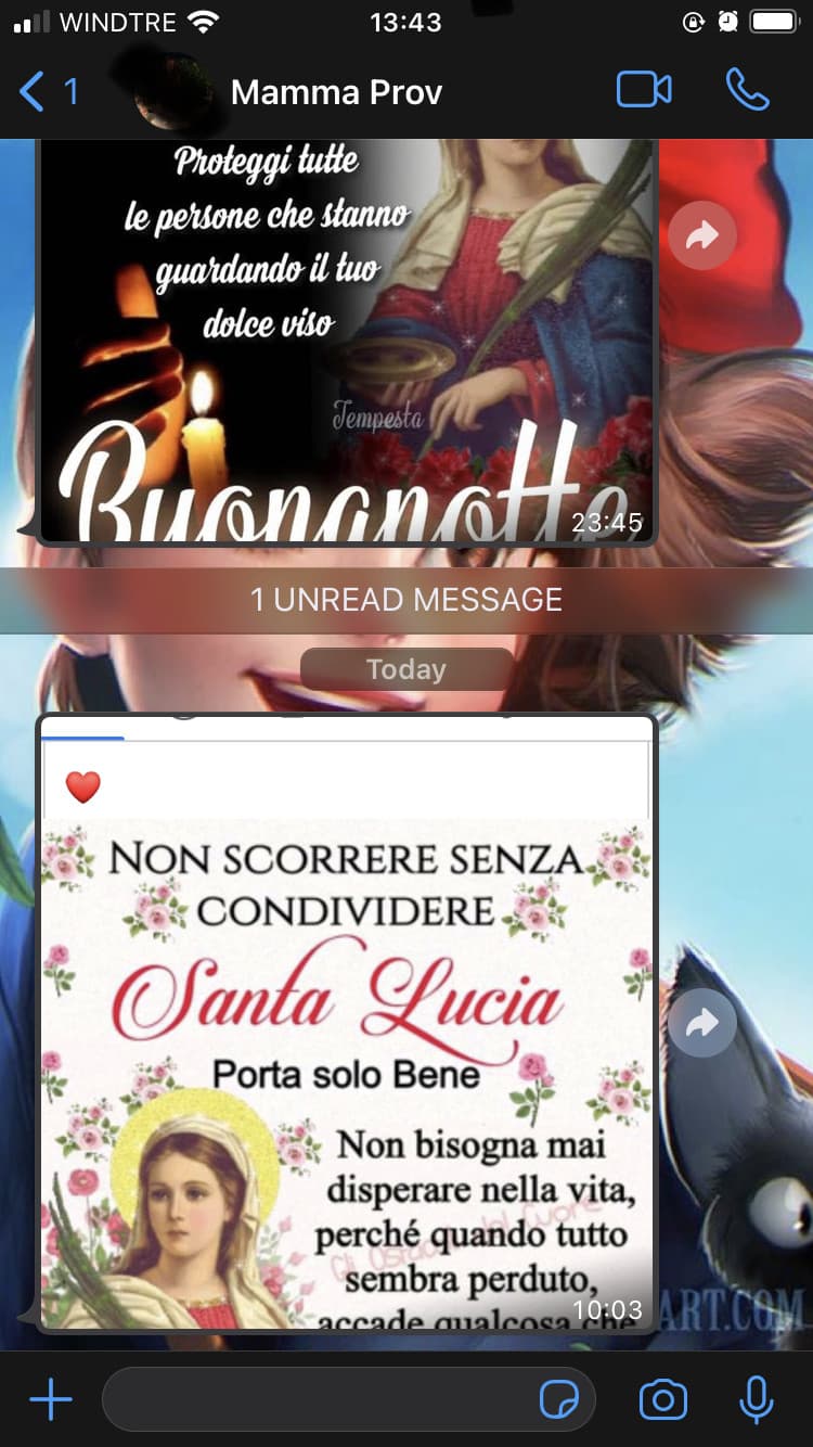 Nessuno:
Mia madre che cerca di convertirmi al cristianesimo: 