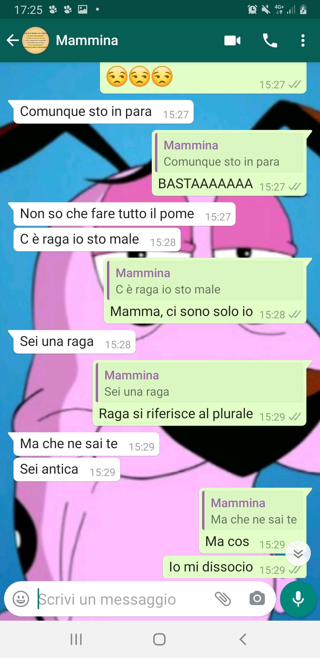 Questa è una chat con mia madre, che problema ha la mia famiglia?