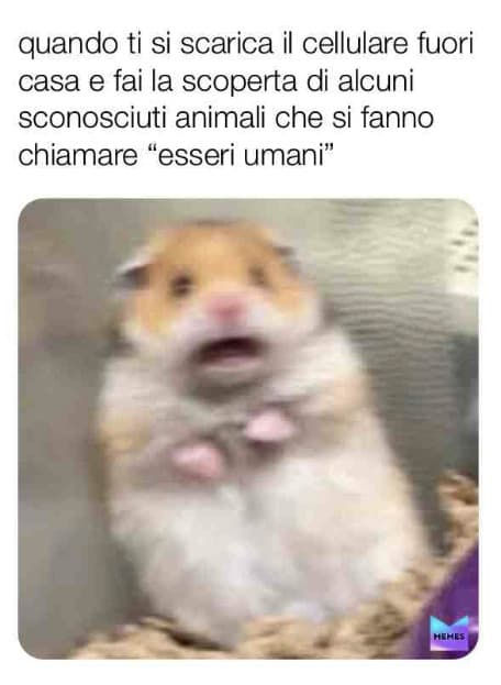 si okay fa schifo