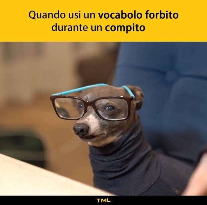 Mi scusi? 