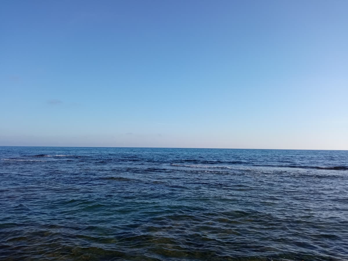 che giornata di merda