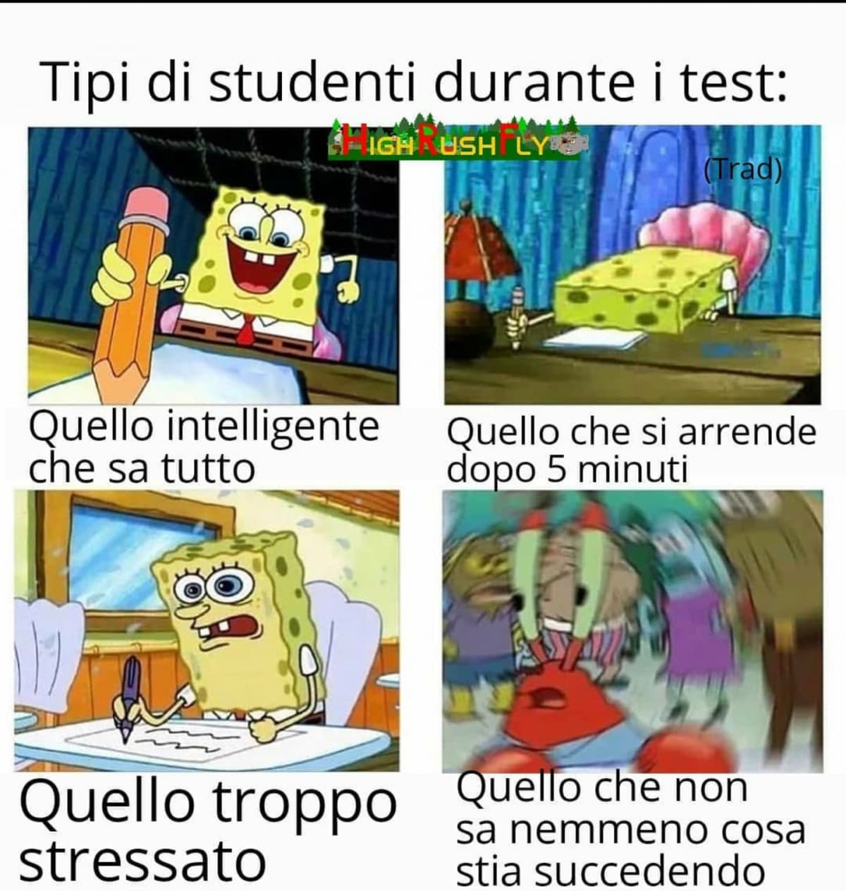 E tu quale sei??