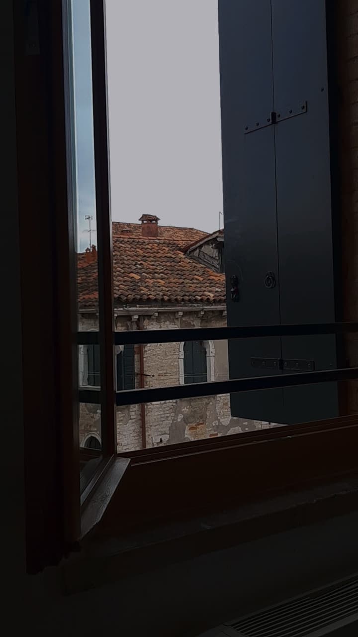 Raga ma a Venezia ci sono sempre stati tutti sti piccioni?