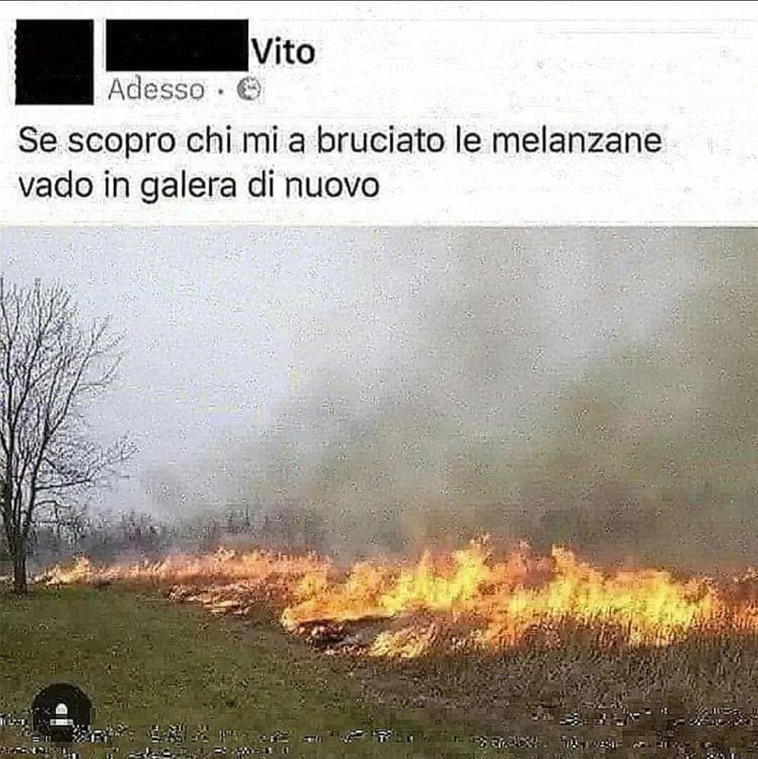 le melanzane?