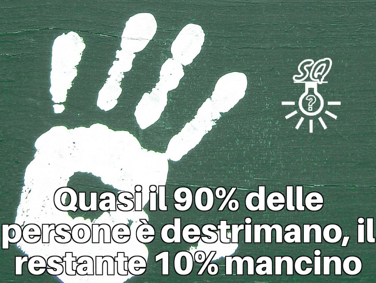 Di quale percentuale fate parte?