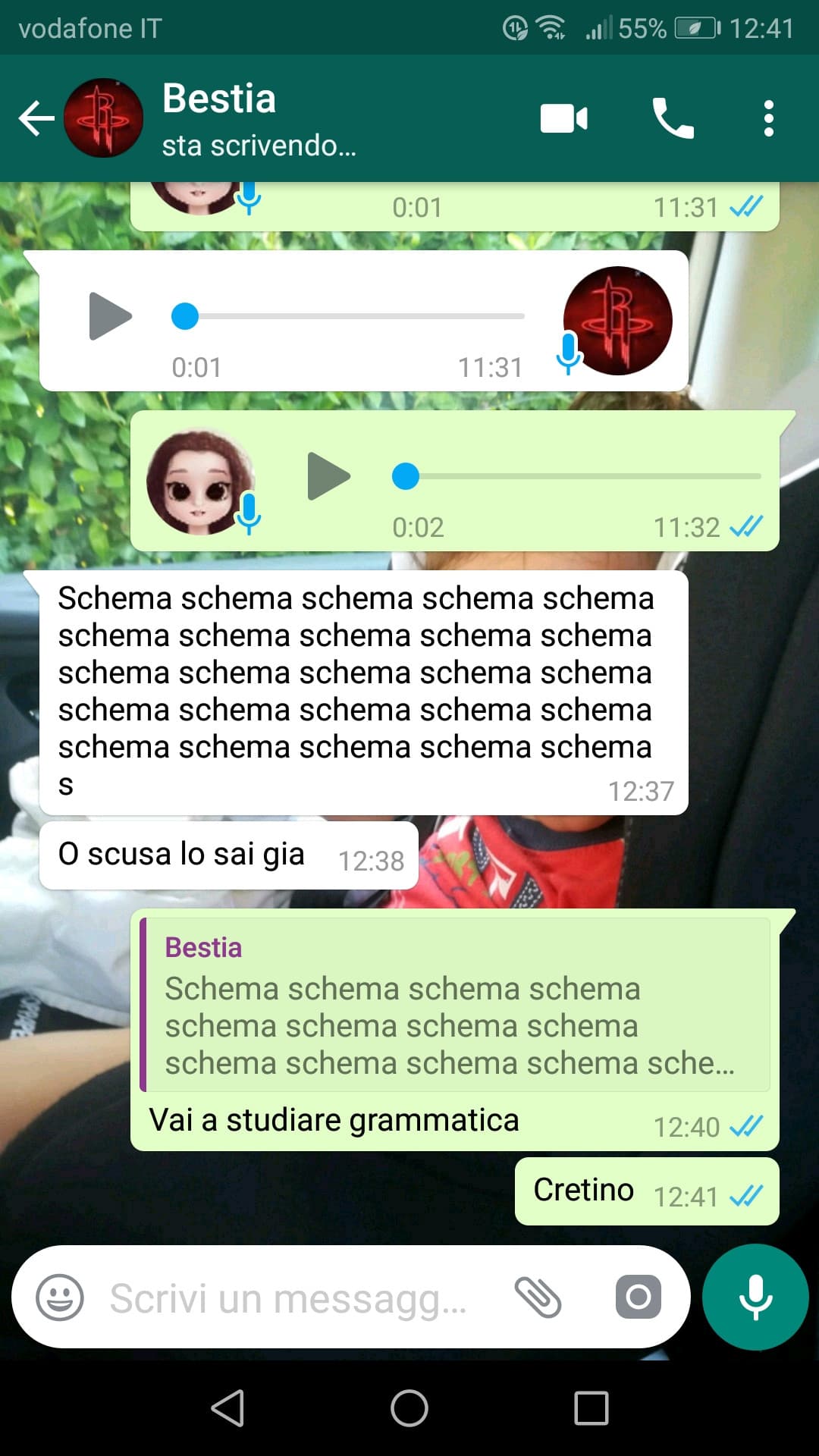 Quando mio fratello prova a insultarmi... 