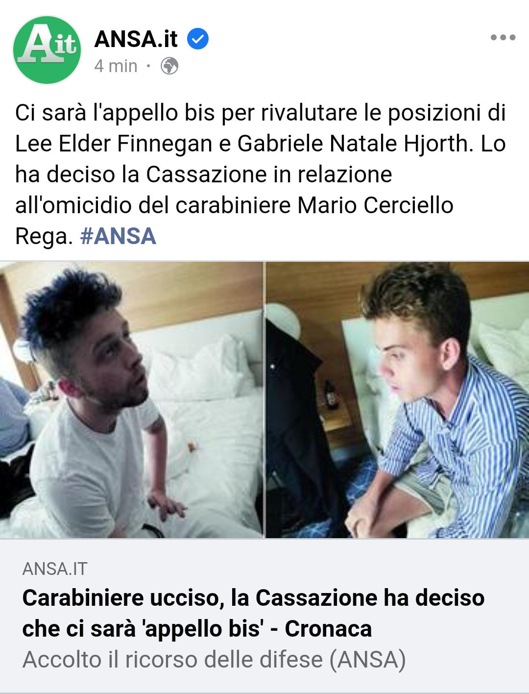 Perché ho l'impressione che sono i nuovi amanda xnox o cazzo si scrive?