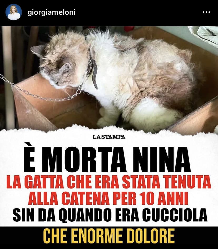 Le notizie quelle importanti 