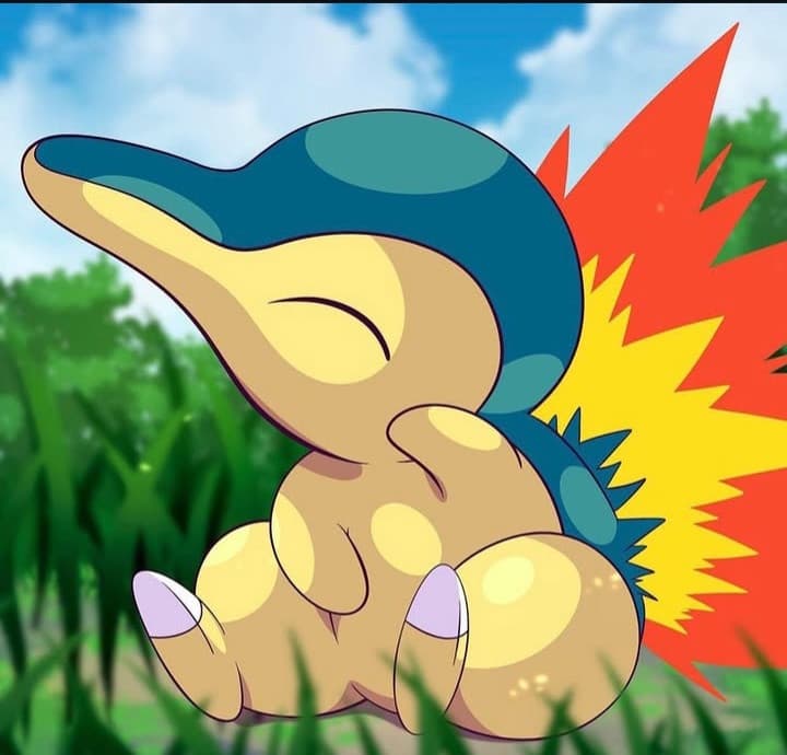 Un utente aveva chiesto Cyndaquil